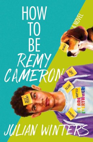 Book Review: How to be Remy Cameron by Julian Winters
