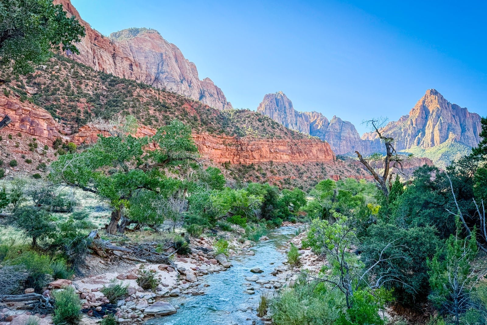 Wide scenic view of a US national park with mountains, forest and open sky