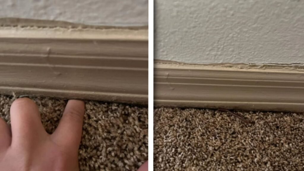 Florida Townhouse Resident Panics After Worms Invade His Home from Beneath the Floor: ‘If It’s a Sinkhole, You Could Literally Die’