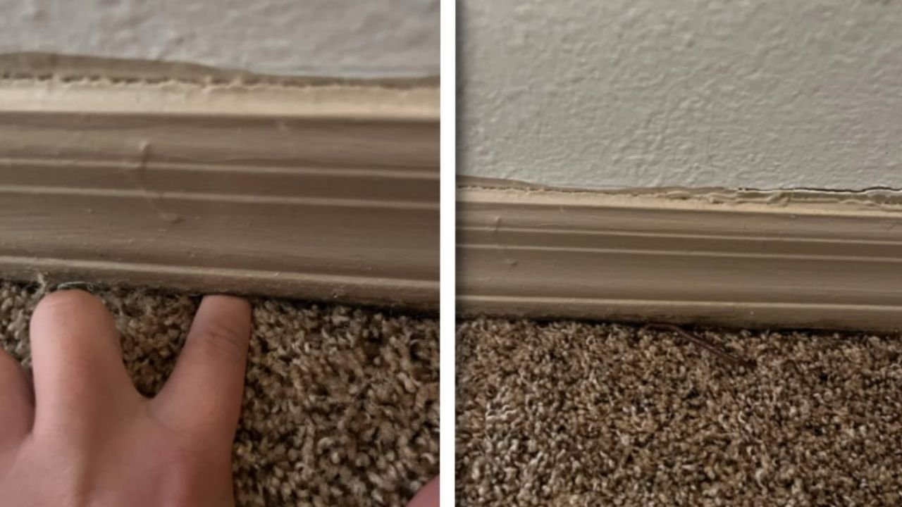 Florida Townhouse Resident Panics After Worms Invade His Home from Beneath the Floor: 'If It's a Sinkhole, You Could Literally Die'